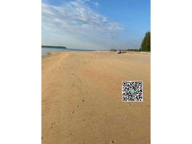 ขายที่ติดชายหาดเกาะพระทองจ.พังงา