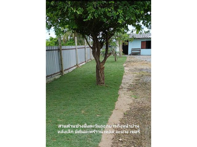 +*+ขายบ้านสวนพร้อมที่ดิน1ไร่ งามๆๆๆๆๆ*+