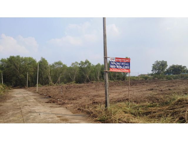 ขาย ที่ดิน - 1 ไร่ 1 งาน 87 ตรว ถมแล้วระดับสูงกว่าถนนหน้าแปลง อยู่ในผังเมืองสีชมพู