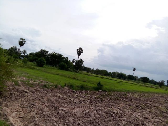 ครุฆแดง3ไร่กว่า..เหมาะทำบ้านพัก.ทำการเกษตร..ขายไร่ละ120,000..