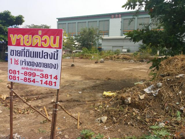 ขายที่ดิน ติดถนนลำลูกกา คลองสี่  รถบรรทุกใหญ่เข้าออกสะดวก   พื้นที่สีม่วง