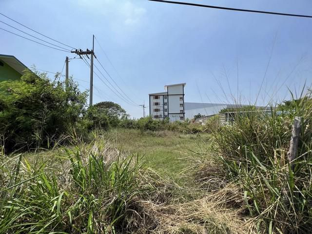 ขายที่ดินหนองตำลึงทำเลดีเนื้อที่ 100 ตรว. ติดถ.2ด้านซอยหนองตำลึง-เขานกยูง หลังดูโฮมอมตะชลบุรี อ.พานทอง ชลบุรี
