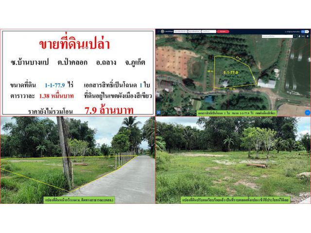 ขายที่ดินเปล่า ขนาด 1-1-77.9 ไร่  **ซ.บ้านบางแป ป่าคลอก**  อ.ถลาง  ภูเก็ต  (ตรว.1.38หมื่นบาท