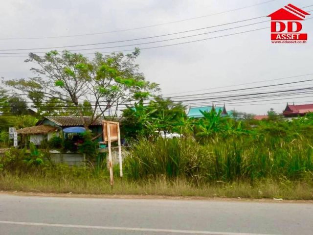 ขายที่ดิน บ้านเกาะ อ.เมือง จ.อยุธยา ติดถนน เนื้อที่ 6 ไร่ 2 งาน 68 ตร.ว.