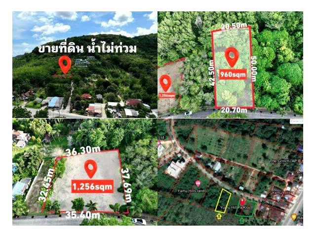 ขายที่ดินในโครงการจัดสรรที่ดินยามูฮิลล์  อ.ถลาง ต.ป่าคลอก จ.ภูเก็ต