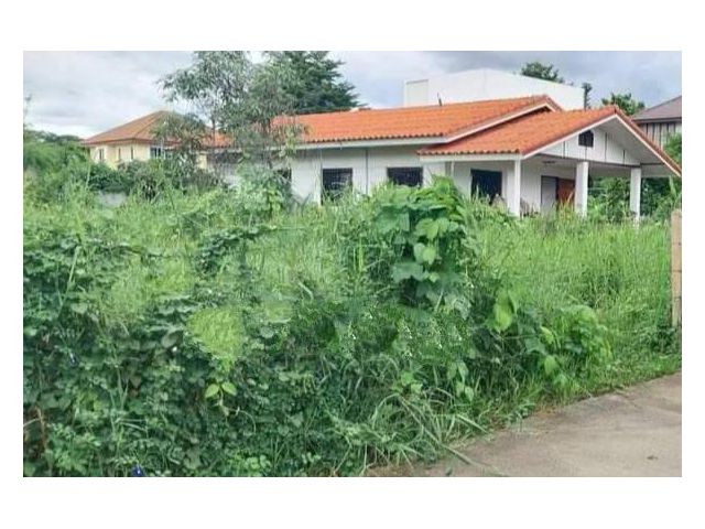 ขายที่ดินตำบลแม่เหียะบ้านดอนปินโฉนดพร้อมโอน