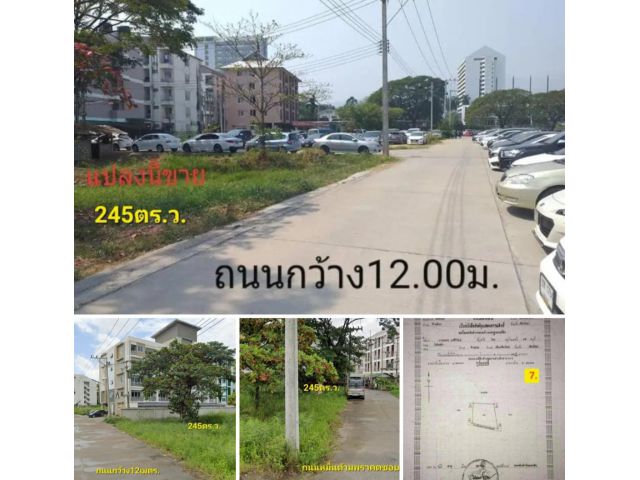 #*ขายที่ดินในเมือง245ตร.ว.ต.ช้างเผือก อยู่ถนนหมื่นด้ามพร้าคตซอย3 ข้าง ม.ราชภัฏเชียงใหม่(ผังเมืองสีแดงสร้างตึกสูงได้)