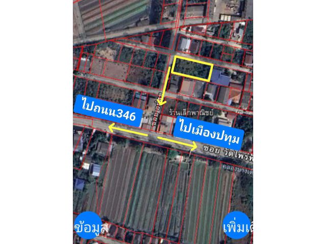 ขายที่ดิน 252 ตรว. ซอยอยู่สุข ต.บางเดื่อ อ.เมืองปทุมธานี