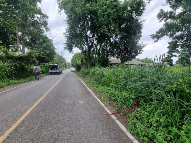 ขายที่ดินเชียงใหม่ โซนเจ็ดยอด ใกล้เมญ่า,นิมมาน #ผังเมืองสีเหลือง เนื้อที่ 180 ตร.ว. ราคา 8.6ล้าน