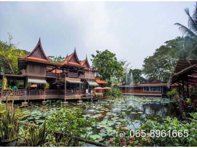 ขายที่ดิน ถ.จงถนอม วัดต้นเชือก ตำบลบ้านใหม่ บางใหญ่ นนทบุรี  ใกล้ม.มหิดล ศาลายา