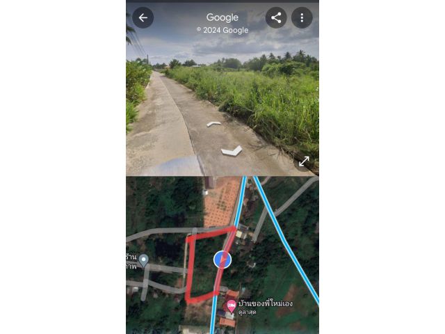 ขาย ที่ดิน ปราณบุรี วังพงก์ 4ไร่ 78ตรว.ปราณบุรี วังพงก์ 4 ไร่ 0 งาน 78 ตร.วา ที่ดินติดแหล่งชุมชน เดินทางสะดวก ใกล้สถานที่ท่องเที่ยว