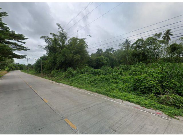 ขายที่ดิน 95 ไร่ ต.เขาคันทรง อ.ศรีราชา ทำโรงงานได้ ผังสีเหลืองอ่อน ใกล้ท่าเรือแหลมฉบัง25กม. ราคาไร่ละ2.5ล้าน ฟรีโอน