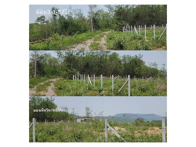 ขายที่ดินปากช่องติดวิหารเซียนและภูตะวัน 2 แปลง 3-1-57ไร่และ1-3-07ไร่ รวม 4ไร่ 64ตรว. ราคา6,500/วา