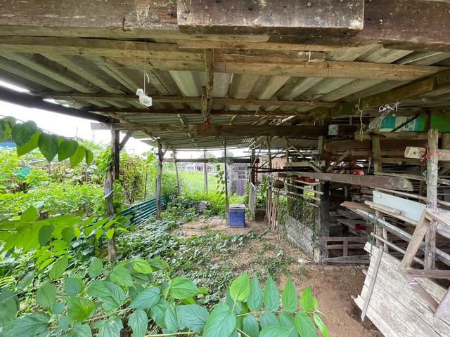 ขายที่ดินเชิงเนินเนื้อที่ 24 ตรว. ใกล้แยกเกาะกลอย-2.4กม. ซอยพัฒนประเสริฐ เมืองระยอง ระยอง