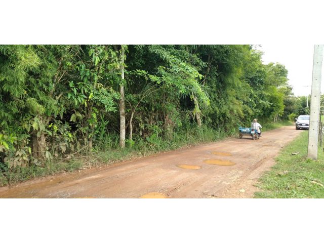 ที่ดินใกล้ถนนทางหลวงไม่ไกลเชียงคานโฉนด เหมาะกับบ้านสวน