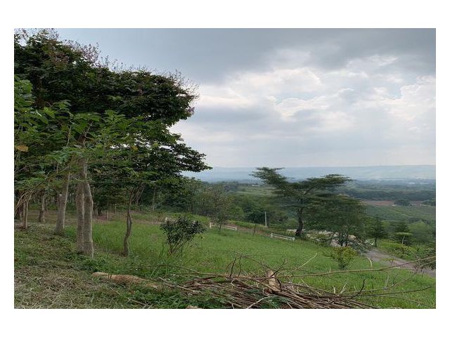 ขาย/ให้เช่า ที่ดินมีโฉนด บนเนินเขา แปลงสวยที่สุดของโครงการ The Peak at Khao Kho