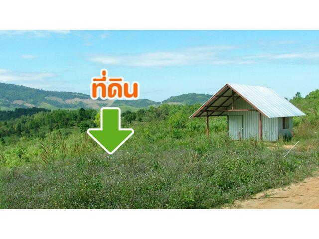 ที่สวย ภบท ภูเรือไร่ละสี่หมื่นกว่า บรรยากาศดีเหมาะกับสวนผลไม้ บ้านพัก บ้านสวน