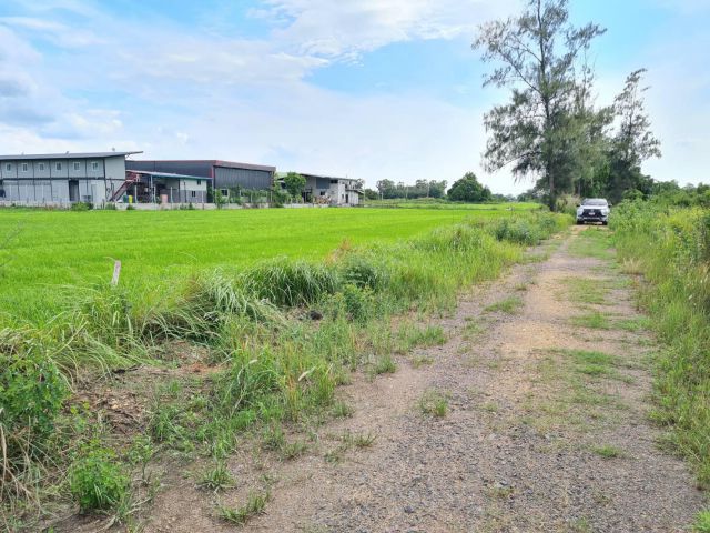 ขายที่ดินติดถนนซอยคลองห้าตะวันออกเนื้อที่ 1 ไร่ ใกล้ถนนเส้น3010-370เมตร อ.คลองหลวง จ.ปทุมธานี