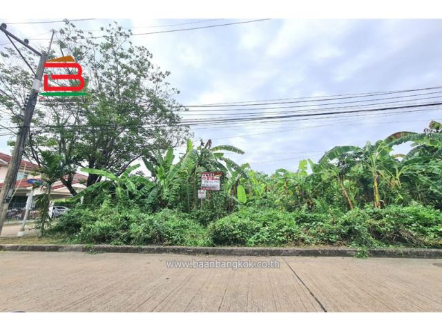 ที่ดินเปล่า หมู่บ้าน ปาริชาต 345 โซน B-15 เนื้อที่ 81 ตรว. ติดตลาดส.รุ่งเรือง ถนนหมายเลข 345 อำเภอเมือง จังหวัดปทุมธานี