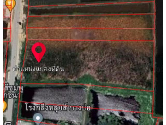 ขายที่ดินติดถนน200ปี