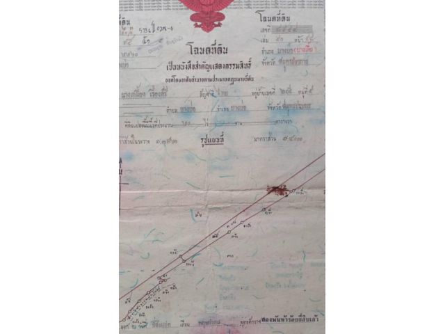 ขาย8ไรราคา2.6ล้าน/ไร่