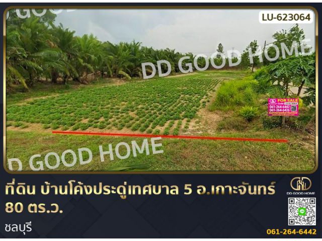ที่ดิน บ้านโค้งประดู่เทศบาล 5 อ.เกาะจันทร์ 80 ตร.ว. ชลบุรี