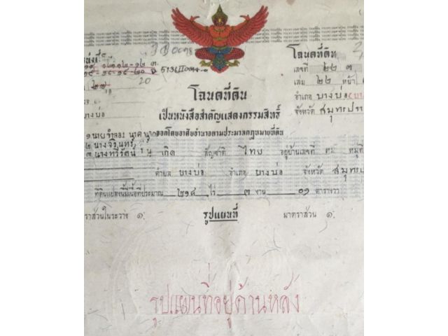 ขายที่ดิน100ไร่