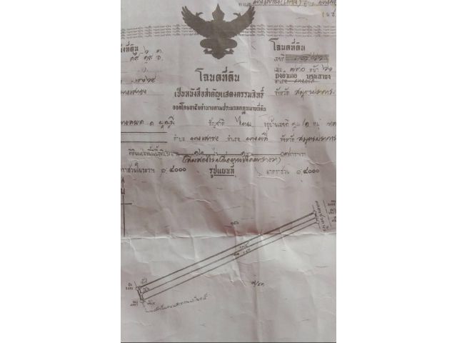 ขายที่ดิน12ไร่ ราคา2.5/ไร่