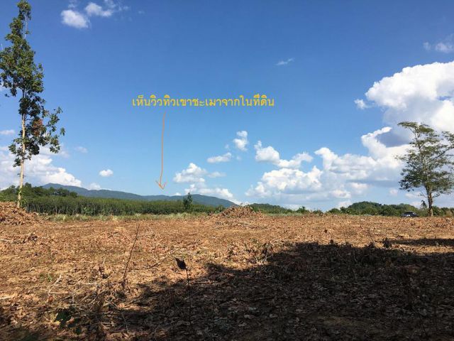 ขายที่ดินที่สวนติดถนนใหญ่ ถนนหลักทางไปเขาชะเมา จังหวัดระยอง
