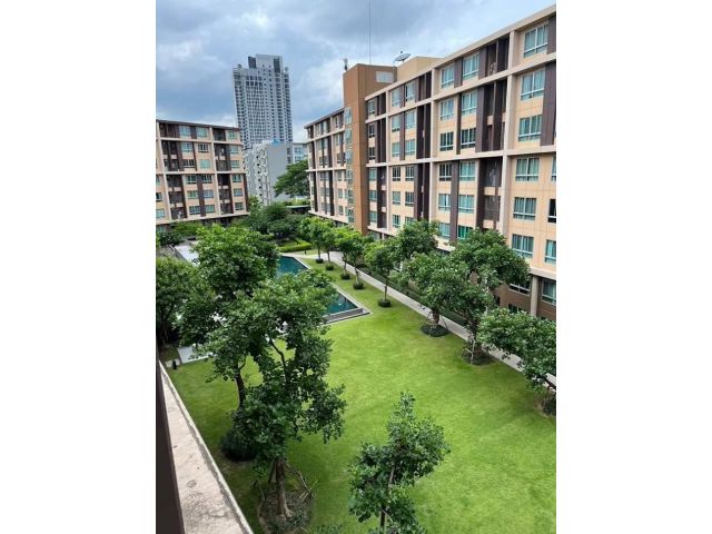 ให้เช่า คอนโด ดี คอนโด แคมปัส รีสอร์ท รังสิต 30 ตรม. 9,000฿