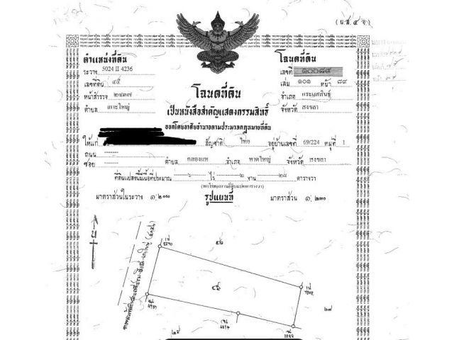 ขายที่ดิน เกาะใหญ่ กระแสสินธุ์ สงขลา