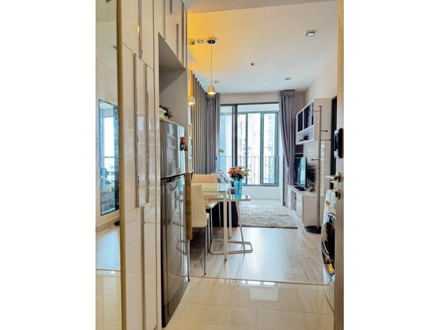 Ideo Mobi Sukhumvit 81 for rent 1 bedroom 1 bathroom 31 sqm rental 15,500 baht/month