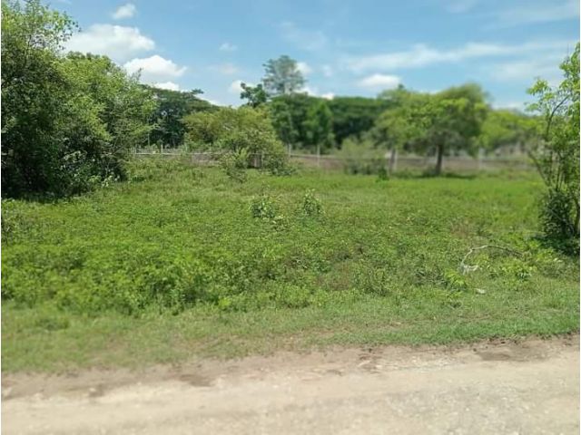 ขายที่ดินในหมู่บ้านชาวฟ้าแม่เหียะติดถนนลาดยางโฉนด