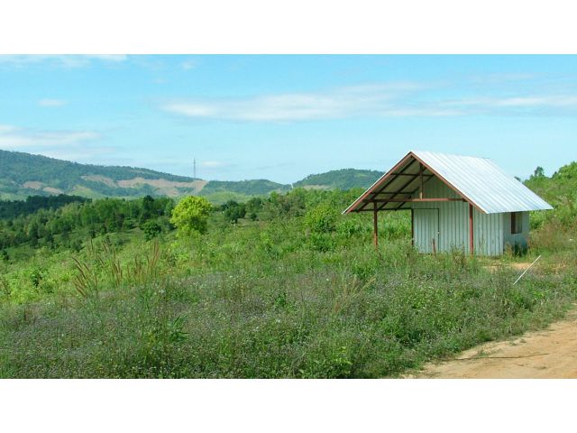 ที่ดินเนินสวยภบท35ไร่เหมาะกับการเกษตร มีแหล่งน้ำทำเลใกล้ถนนลาดยางชนท100กว่าเมตร ไฟต่อได้ อ.ภูเรือ