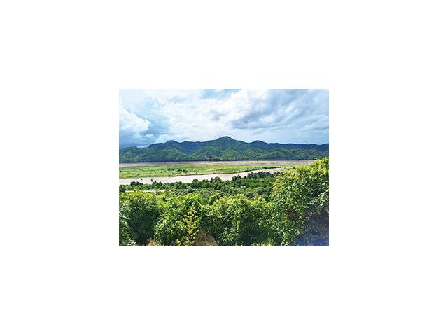 ที่ดินสวยและถูกมีอยู่จริง เนินสวยใกล้แม่น้ำโขงเชียงคานทำวิวสวยทำบ้านพักตากอากาศมาก 24 ไร่กว่า 3ล้านถ้วน