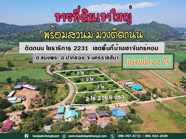 ขายที่ดินแบ่งแปลงขายเขาใหญ่ พร้อมสวนมะม่วงติดถนน วิวเขาล้อมรอบ