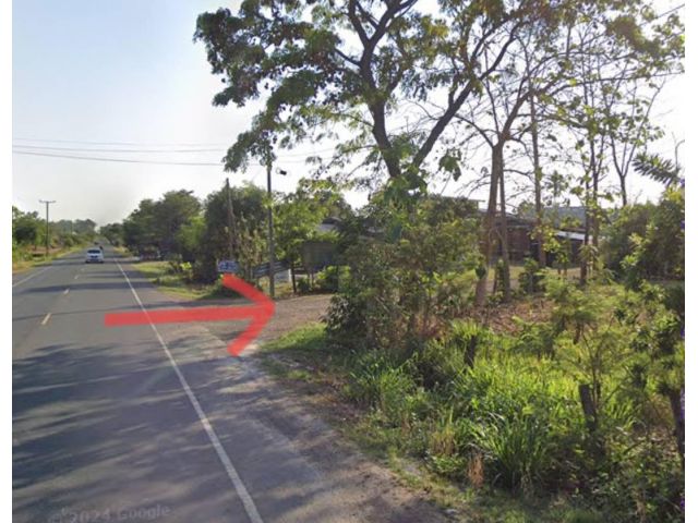 ขายที่ดิน 5 ไร่ อำเภอประสาท สุรินทร์  ติดถนน ใกล้ชุมชน 