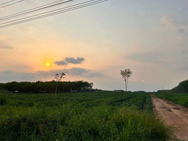 ️ขายที่ดินท่าจามหนองใหญ่ 50 ไร่ ปลวกแดง ระยอง (สีเหลืองอ่อน)