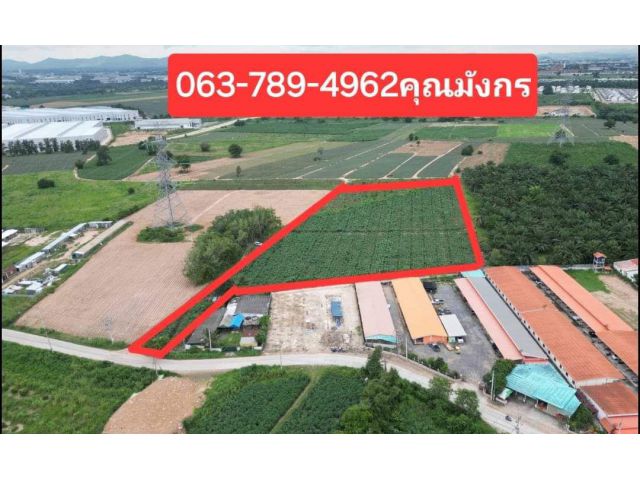 ที่ดิน13ไร่ สีม่วงลาย มาบยางพร อ.ปลวกแดง จ.ระยอง ด้านหลังติดแนวสายไฟฟ้าบางส่วน ขายถูก ขายเหมา26ล้าน  #ที่ดินสีม่วงลาย
