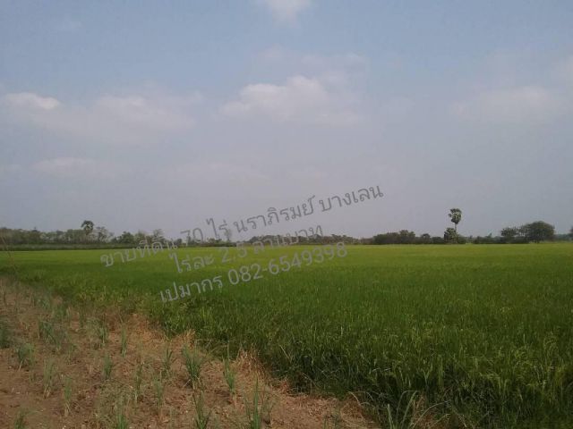 -ขายที่ดินเปล่่าติดถนน 70 ไร่ ราคาถูก อยู่นราภิรมย์ บางเลน นครปฐม