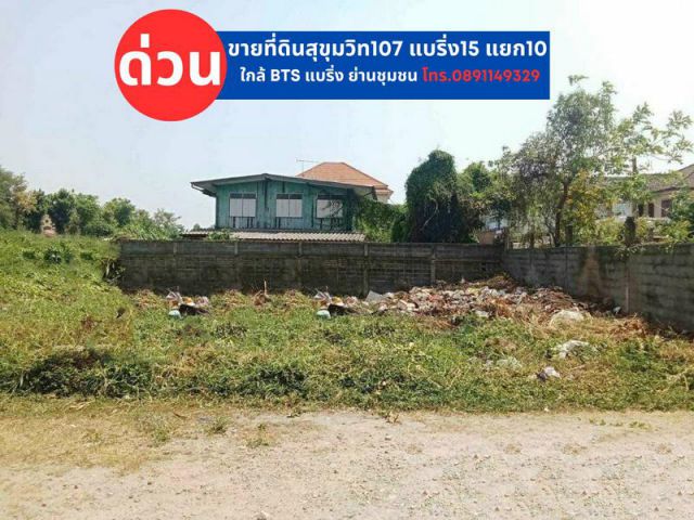 ขายด่วนที่ดิน 80 ตารางวา สุขุมวิท107 แบริ่ง15 แยก10 เมืองสมุทรปราการ  ใกล้ BTS แบริ่ง ย่านชุมชน