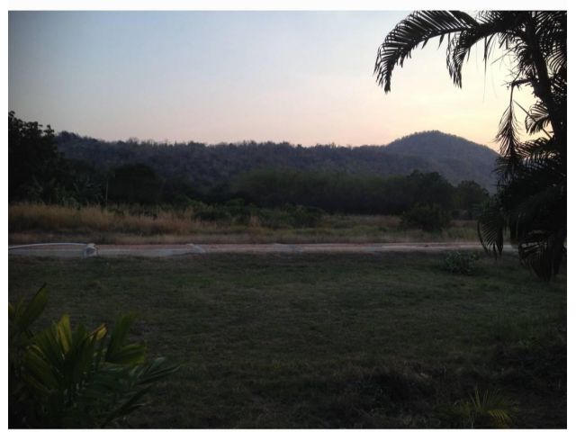 Land for sale 37 rai, located in U Thong, Suphan Buri