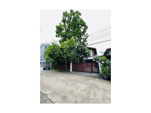 ขายบ้านเดี่ยว ซอยพระรามเก้า 62 หมู่บ้านเสรี พื้นที่ 78 ตร.ว. ใกล้สถานีรถไฟฟ้าสายสีเหลืองและแอร์พอร์ตลิ้งค์สถานีหัวหมาก