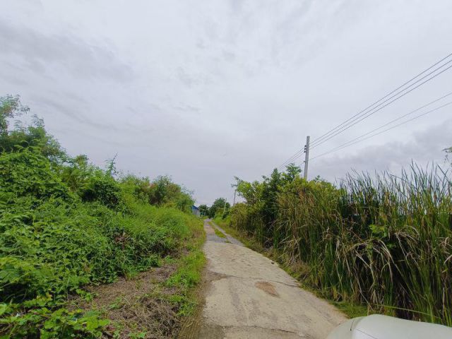 ขายที่ดิน 3 ไร่ ประชาอุทิศ 76 เพียงวาละ 36000 หน้ากว้าง 90 เมตร ติดทางสาธารณะ