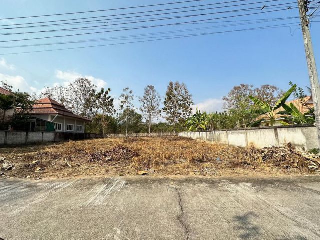 ถูกมาก!! ขายที่ดินสวย 200 ตรว./ ตรว.15,000 ใกล้แมคโครแม่ริม เชียงใหม่