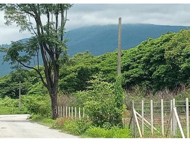 ขายที่ดินตำบลแม่เหียะวิวดอยถนนคอนกรีตพร้อมโอน