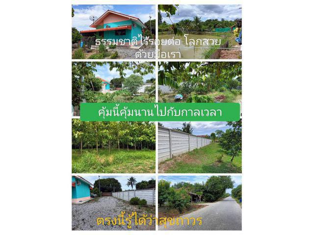 สวยเหมาะสมเหลือเกิ๊น ปันสุขปันใจ ด้วยความภูมิใจที่เสนอคือบริการของเรา แปลงใดไหนเล่าหรือจะเท่าแปลงที่เราชอบ