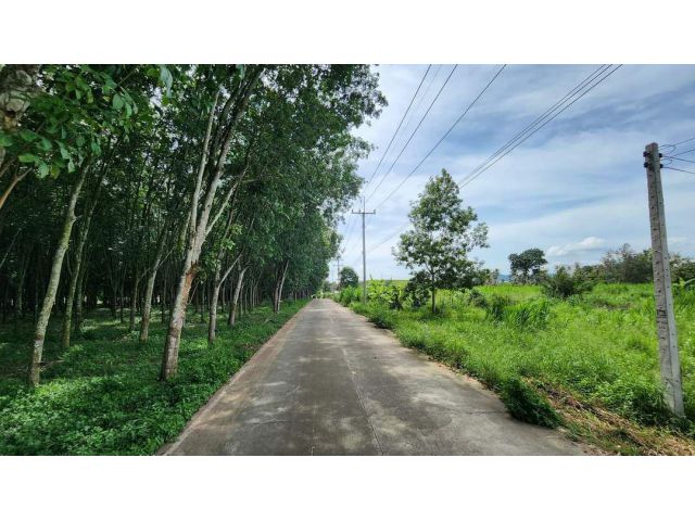 ที่ดินสีม่วงลาย6ไร่ อ.ศรีราชา จ.ชลบุรี ขายไร่ล2.5ล้าน   #ที่ดินสีม่วงลาย #ที่ดินทำโรงงาน  #ที่ดินทำโกดัง