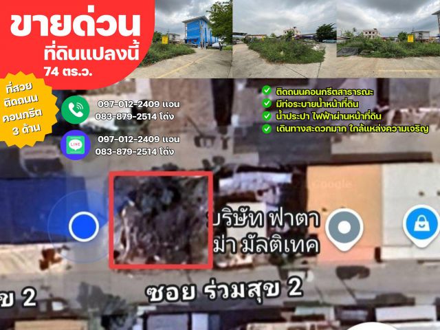 ขายด่วนที่ดิน 74 ตารางวา ถมแล้วทั้งแปลง ติดถนนคอนกรีต 3 ด้าน ️ พิกัด ซอยสไสวประชาราษฎร์21 (ซอยร่วมสุข2) อ.ลำลูกกา จ.ปทุม