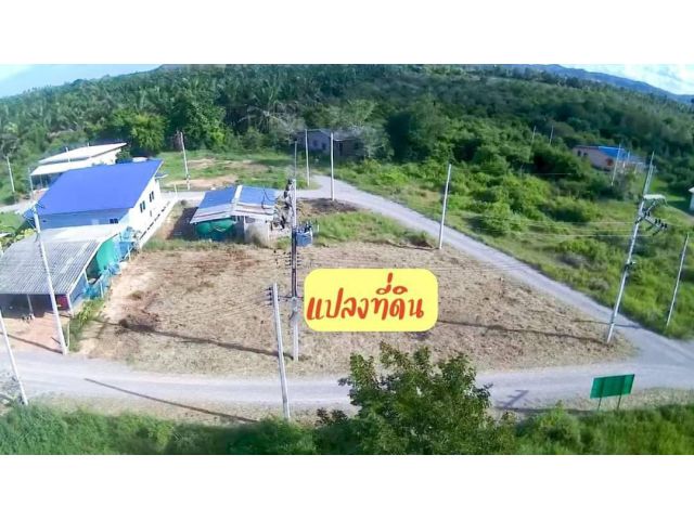 ขายที่ดิน 107 ตรว. ราคา 390,000 บาท ต.ไร่ใหม่ อ.สามร้อยยอด จ.ประจวบฯ
